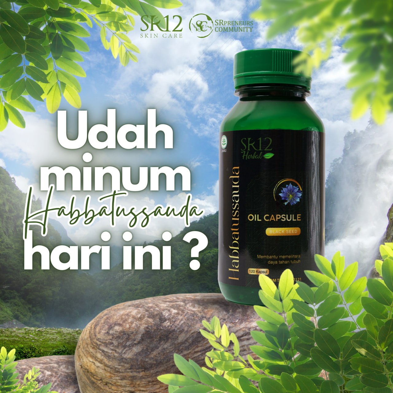 habbatussauda-kapsul